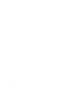 Mobius Phoenix NLP